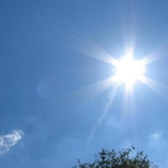 Tips voor uw Zomerconcerten