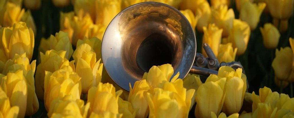 Brassband bladmuziek foto