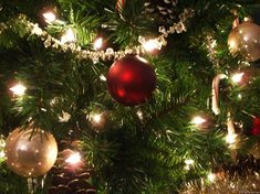 Christmas-4-You