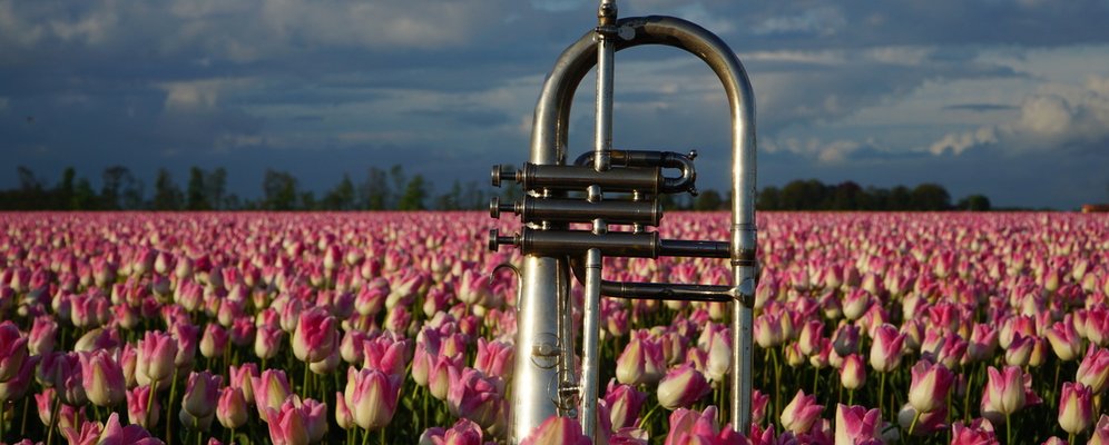 Fanfare bladmuziek foto