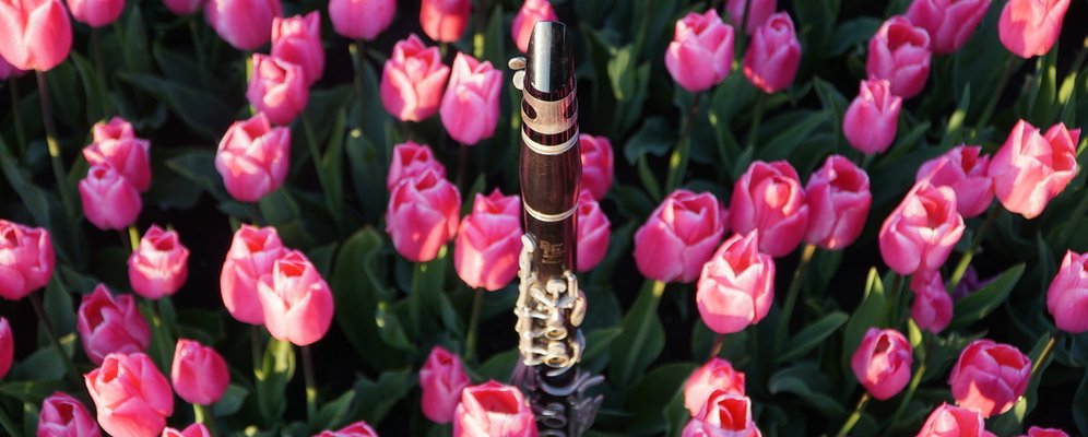 Harmonie bladmuziek foto