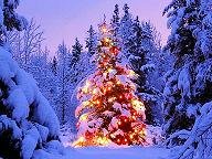 Christmas-4-You