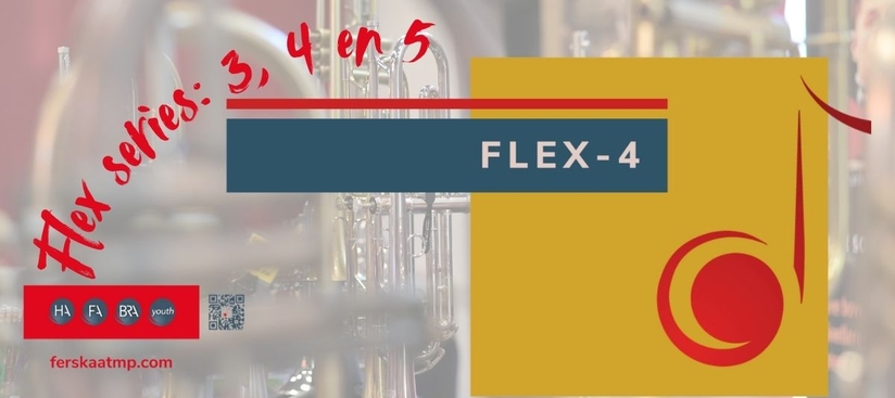 Flexible Series
