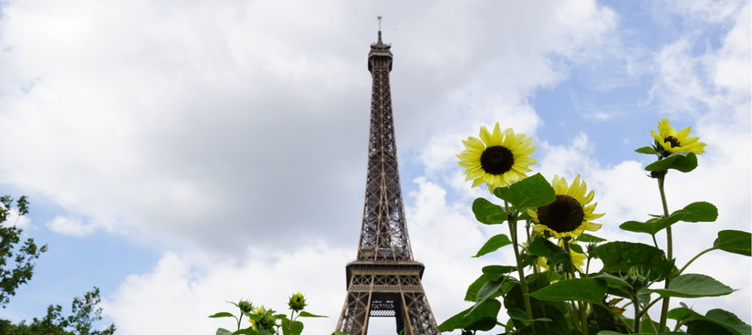 La leçon particulière