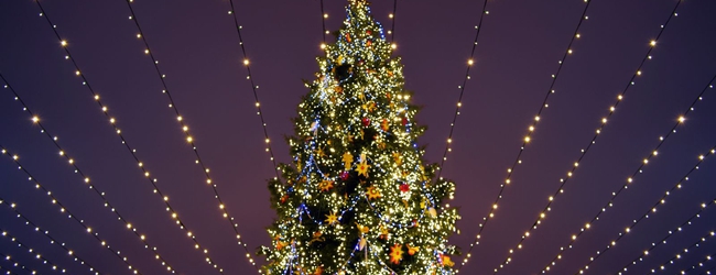 Christmas ℙ𝕠𝕡𝕦𝕝𝕒𝕚𝕣