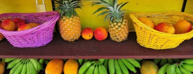 Ripe Banana Ripe
