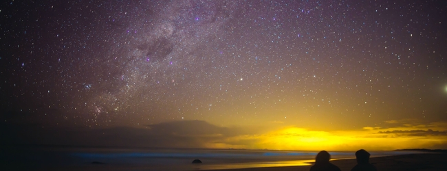 Stars of the Summer Night!