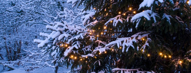 Instant Christmas