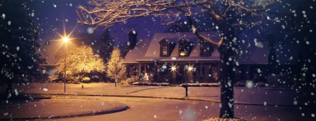 Tis the Season