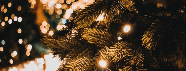 Instant Christmas