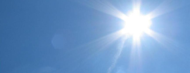 Zin in de Zon?